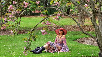 Japanese Garden - Cowra 